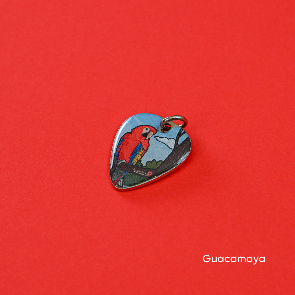 Plumillas de COLECCIÓN Rasca Mapas