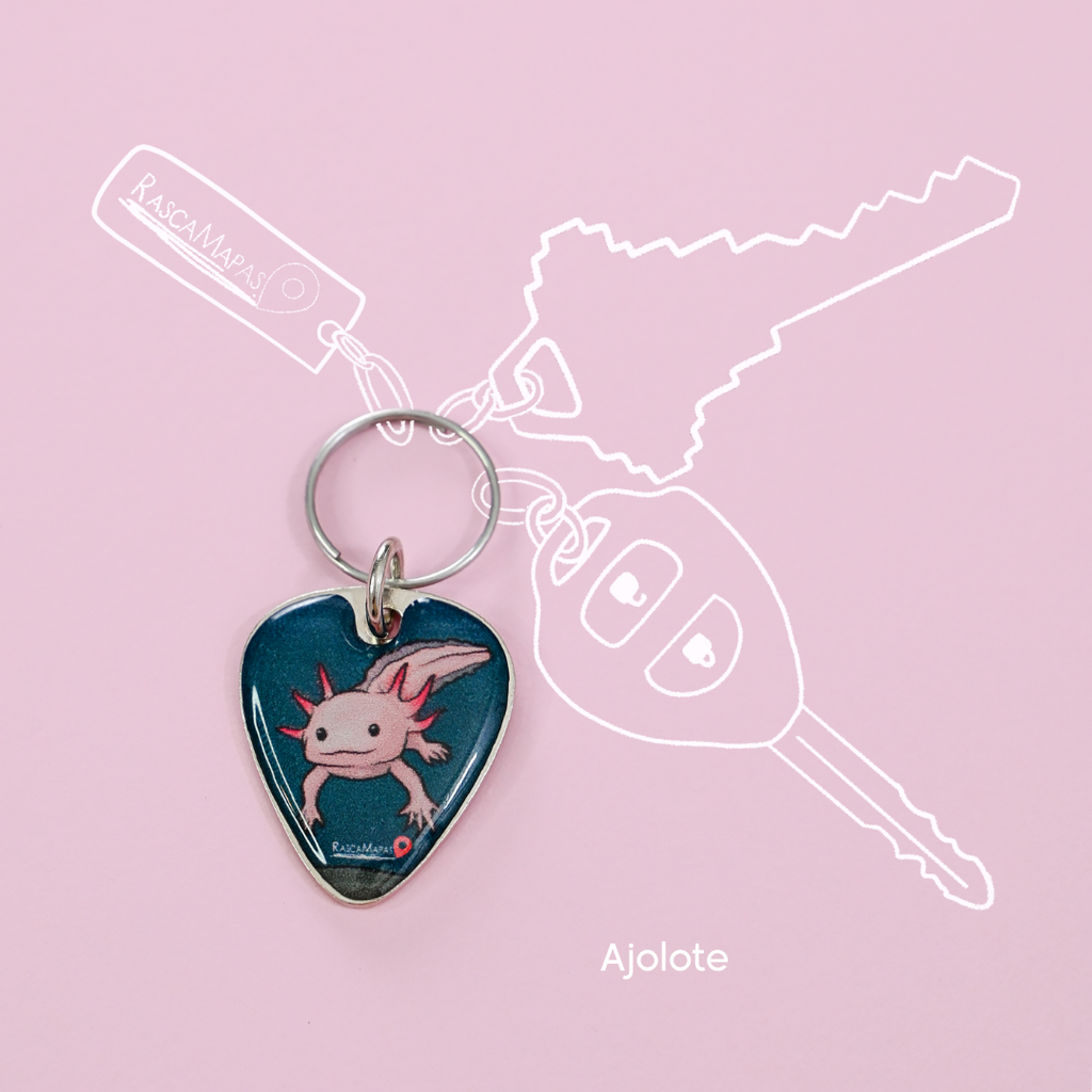 Plumillas de COLECCIÓN Rasca Mapas