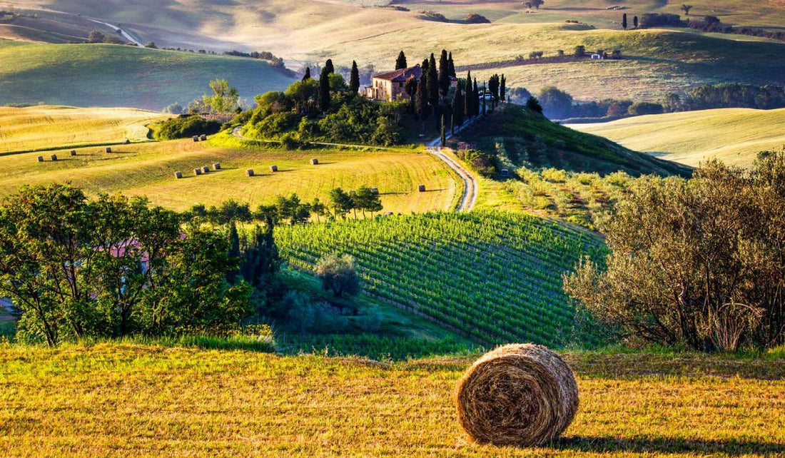 5 lugares en la Toscana que no puedes dejar de visitar, Rasca Mapa del Mundo 🇮🇹️ - Rasca Mapas