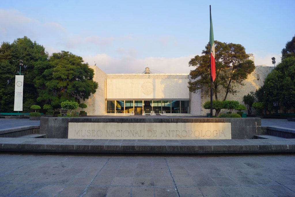 5 museos que ya están abiertos en la CDMX