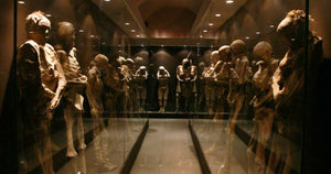 Museo de las Momias de Guanajuato 🙈