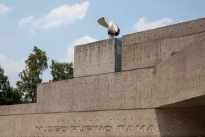 Museo Tamayo, un imperdible de la cartelera cultura en la CDMX - Rasca Mapas