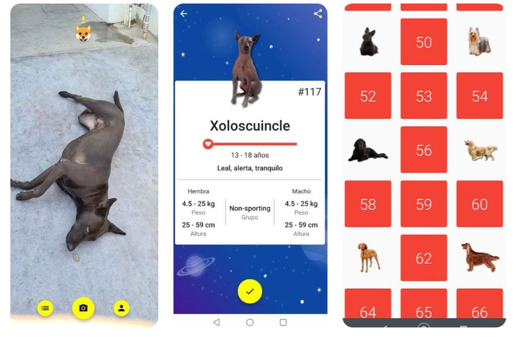 Una app que reconoce las razas de perros y las colecciona