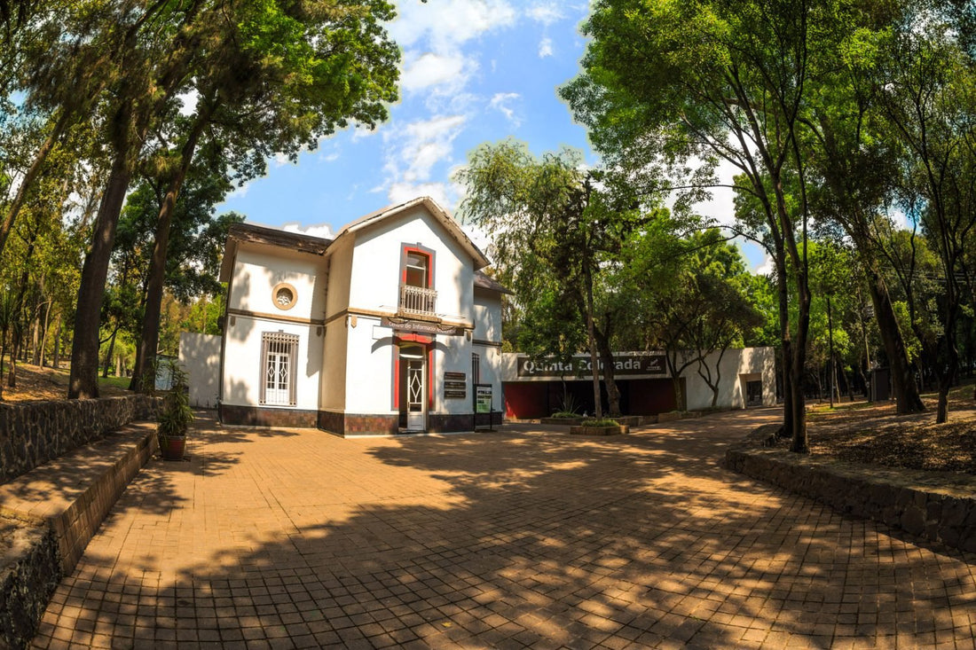 Conoce la Quinta Colorada museo de la Ciudad de México - Rasca Mapas - Rasca Mapas