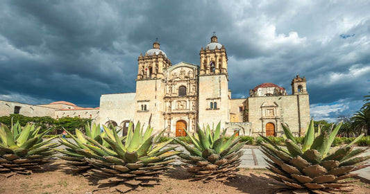 ¿Cuál es el estado que tiene más municipios de México? - Rasca Mapas