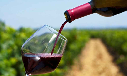 Descubre el sabor de México: Las mejores Rutas del Vino - Rasca Mapas