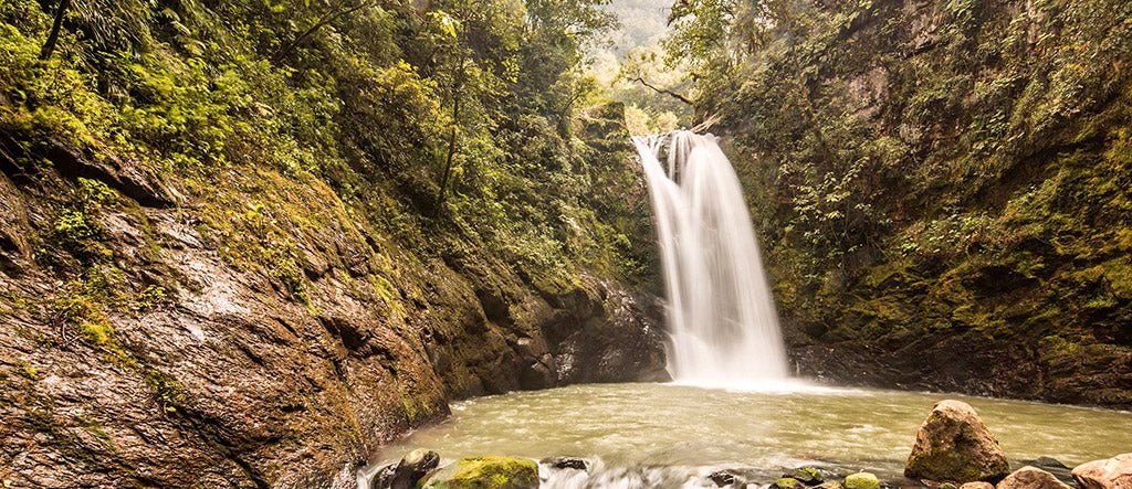 Esto es lo que debes saber de Pahuatlán del Valle (Puebla) 🌳