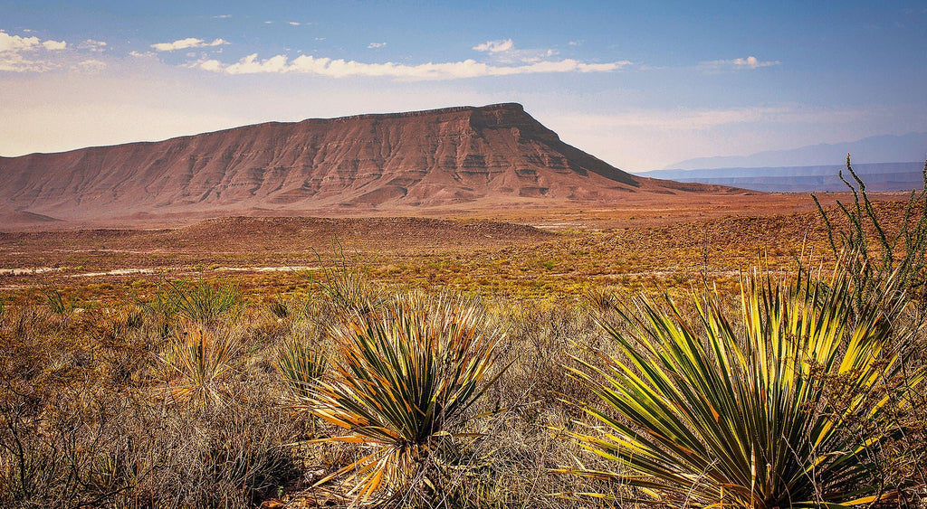 Explora la magia de General Cepeda: Un Pueblo Mágico en Coahuila