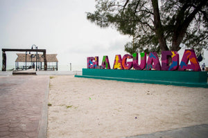 Isla Aguada, un espacio que debes conocer en el Golfo de México