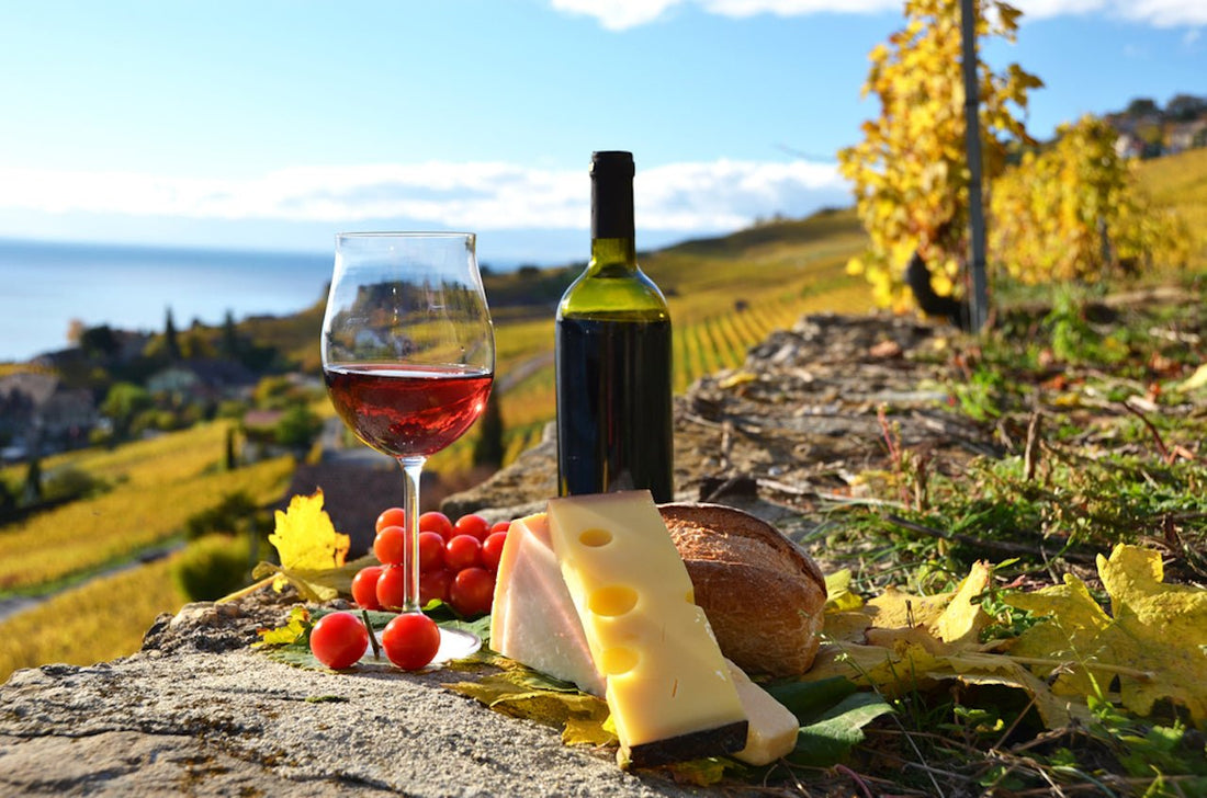 La ruta del queso y del vino en Tequisquiapan, Pueblo Mágico de Querétaro - Rasca Mapas - Rasca Mapas