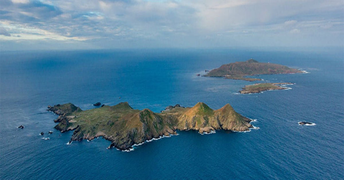 Las 3  mejores islas de México; prepárate para el viaje de tu vida - Rasca Mapas