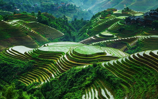 Las mágicas terrazas de arroz en Lonji, China - Rasca Mapas - Rasca Mapas