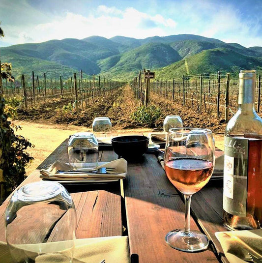 Los viñedos de Valle de Guadalupe: El gusto por el vino - Rasca Mapas - Rasca Mapas