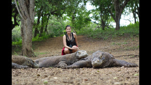 Prohibirán el turismo en la isla Komodo… y tiene una razón ecológica