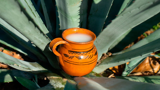 México y el pulque; la bebida de los dioses - Rasca Mapas - Rasca Mapas