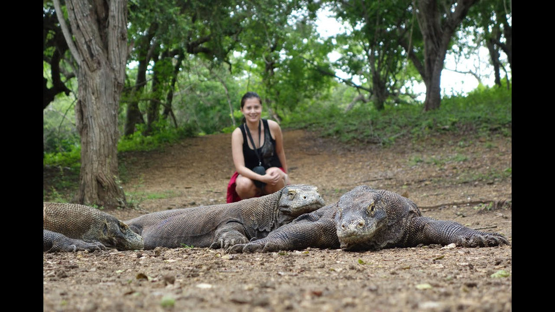 Prohibirán el turismo en la isla Komodo… y tiene una razón ecológica - Rasca Mapas