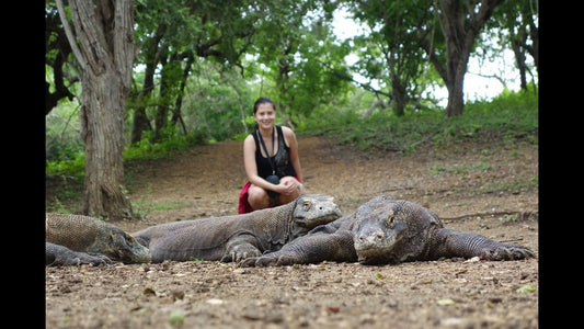 Prohibirán el turismo en la isla Komodo… y tiene una razón ecológica - Rasca Mapas