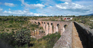 ¿Qué debes saber sobre Huichapan (Hidalgo)? 🌼