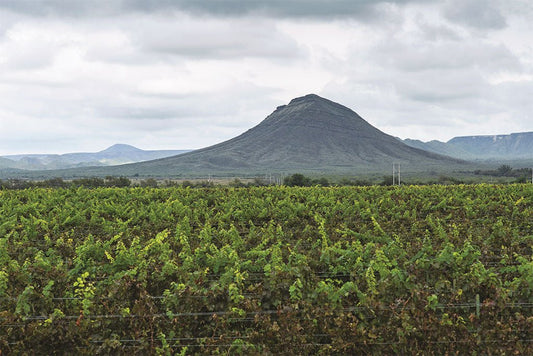 ¿Qué debes saber sobre Parras de la Fuente (Coahuila)? 😍 - Rasca Mapas