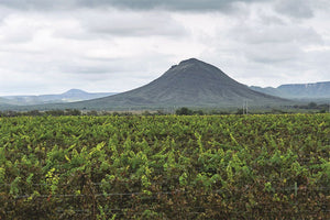 ¿Qué debes saber sobre Parras de la Fuente (Coahuila)? 😍