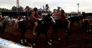 ¿Qué hay en la Feria del Caballo de Texcoco?  🤠