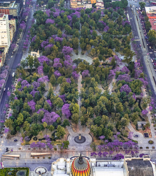 Top 5 de lugares qué debes visitar en la Ciudad de México - Rasca Mapas - Rasca Mapas