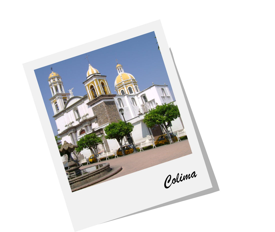 #ViajaDesdeCasa a Colima, Colima - Rasca Mapas