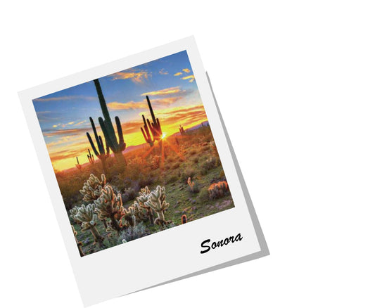 #ViajaDesdeCasa a Sonora, Hermosillo - Rasca Mapas