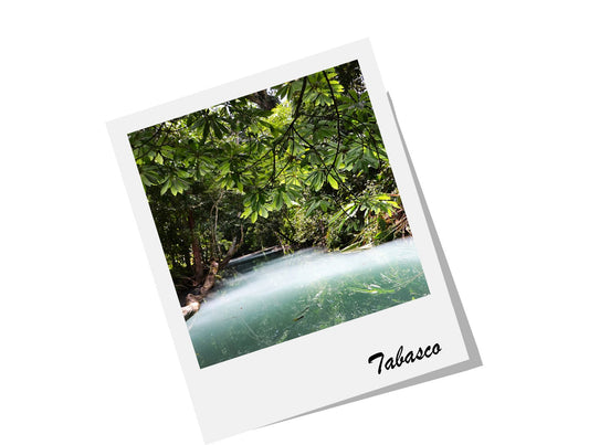 #ViajaDesdeCasa a Tabasco, Villahermosa - Rasca Mapas