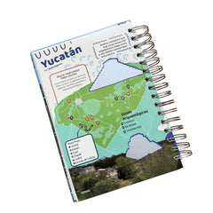 Agenda 2026 - DIARIA y SEMANAL - Rasca Mapas - Rasca MapasAgenda 2026 - DIARIA y SEMANAL - Rasca Mapas